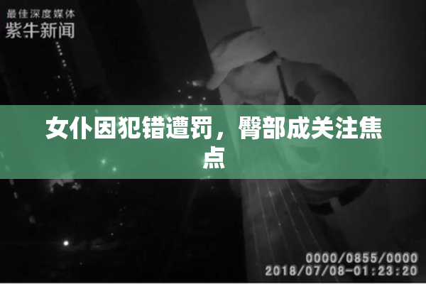女仆因犯错遭罚，臀部成关注焦点