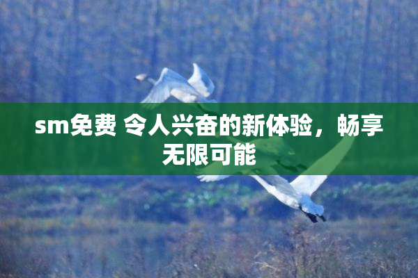 sm免费 令人兴奋的新体验，畅享无限可能