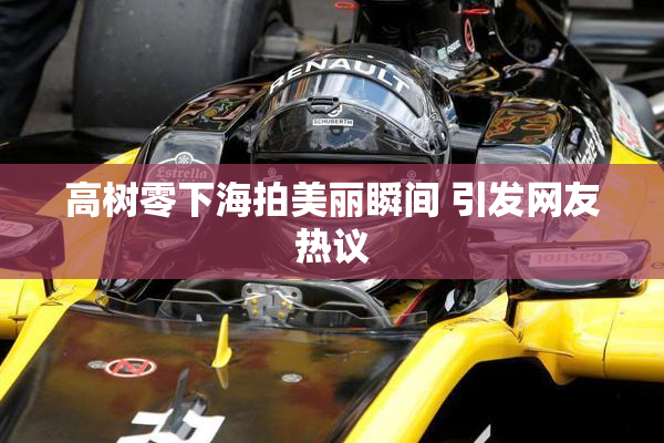 高树零下海拍美丽瞬间 引发网友热议