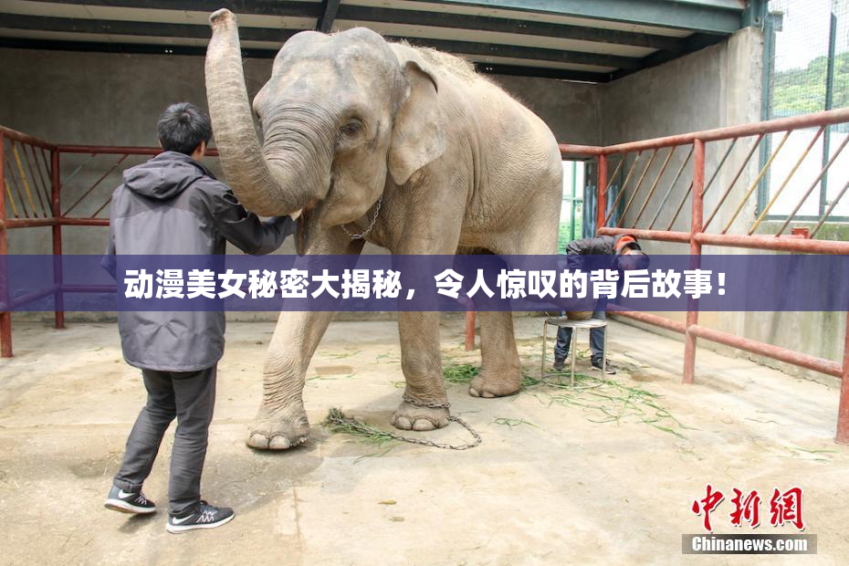 动漫美女秘密大揭秘，令人惊叹的背后故事！