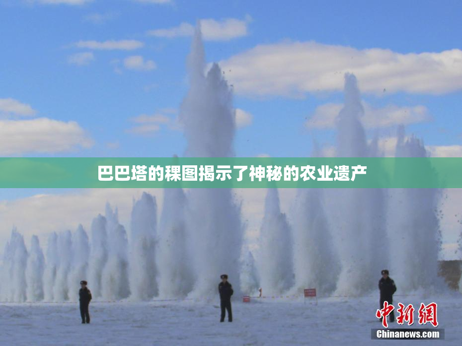 巴巴塔的稞图揭示了神秘的农业遗产