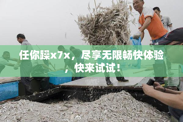 任你躁x7x，尽享无限畅快体验，快来试试！