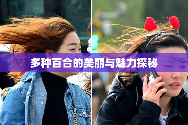 多种百合的美丽与魅力探秘
