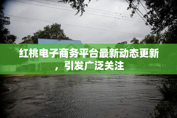 红桃电子商务平台最新动态更新，引发广泛关注