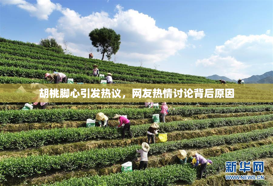 胡桃脚心引发热议，网友热情讨论背后原因