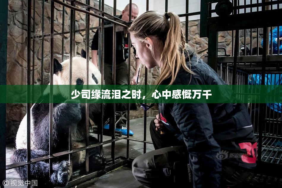 少司缘流泪之时，心中感慨万千
