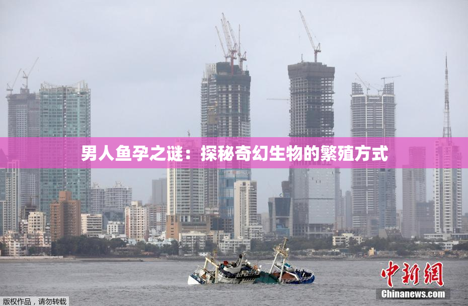 男人鱼孕之谜：探秘奇幻生物的繁殖方式