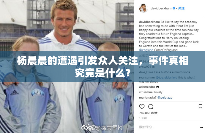 杨晨晨的遭遇引发众人关注，事件真相究竟是什么？