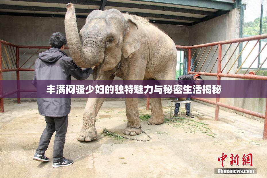 丰满闷骚少妇的独特魅力与秘密生活揭秘