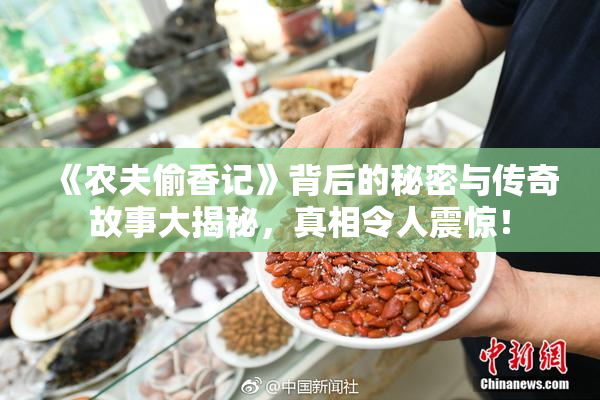 《农夫偷香记》背后的秘密与传奇故事大揭秘，真相令人震惊！