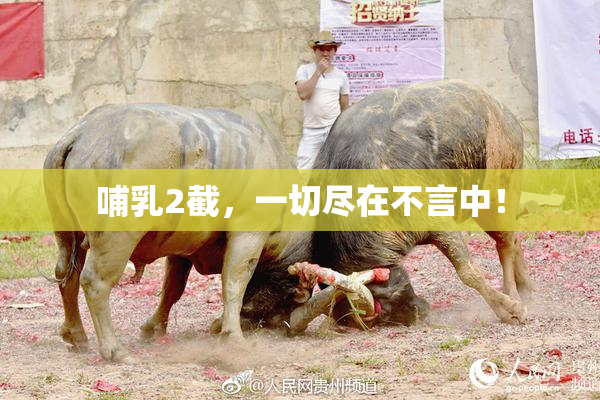 哺乳2截，一切尽在不言中！