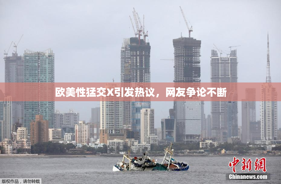 欧美性猛交X引发热议，网友争论不断