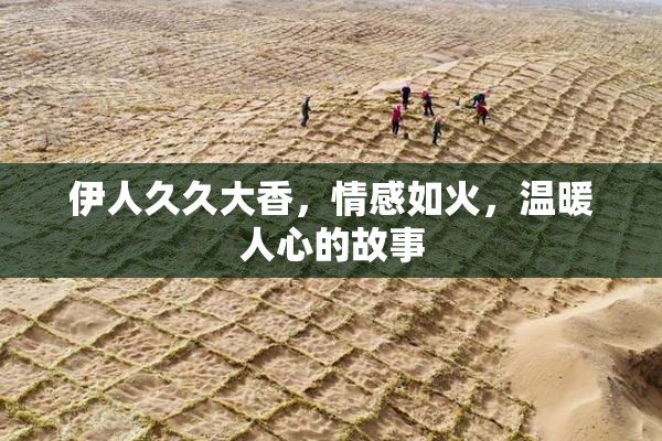 伊人久久大香，情感如火，温暖人心的故事