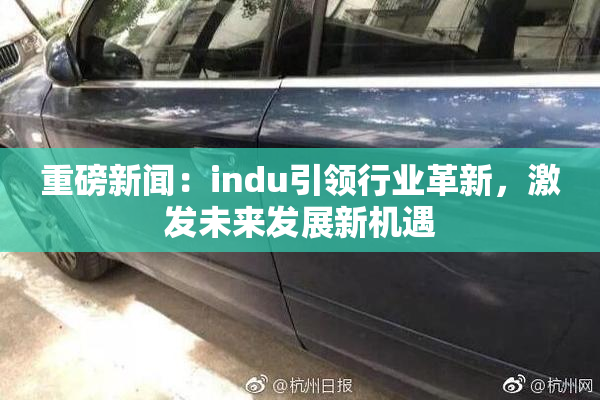 重磅新闻：indu引领行业革新，激发未来发展新机遇