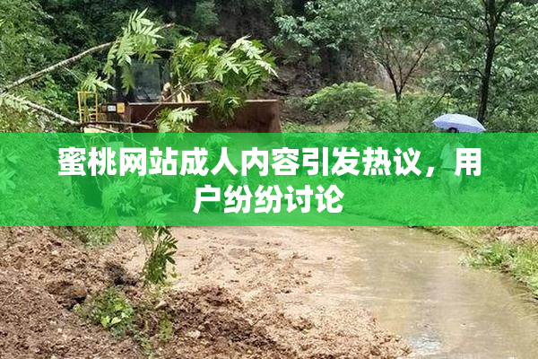 蜜桃网站成人内容引发热议，用户纷纷讨论