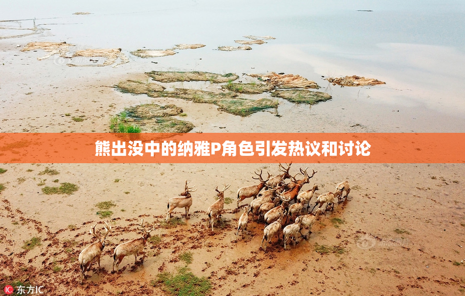 熊出没中的纳雅P角色引发热议和讨论
