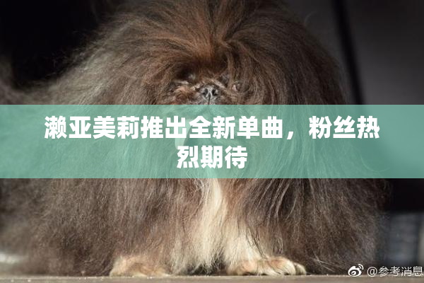 濑亚美莉推出全新单曲，粉丝热烈期待