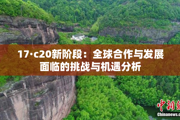 17·c20新阶段：全球合作与发展面临的挑战与机遇分析