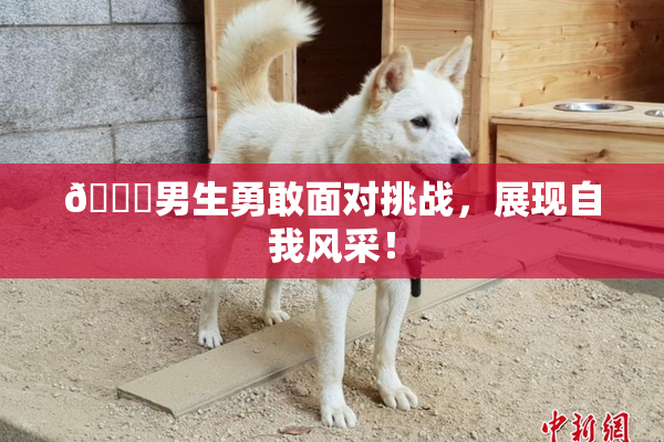 🔞男生勇敢面对挑战，展现自我风采！