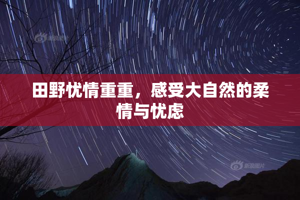 田野忧情重重，感受大自然的柔情与忧虑