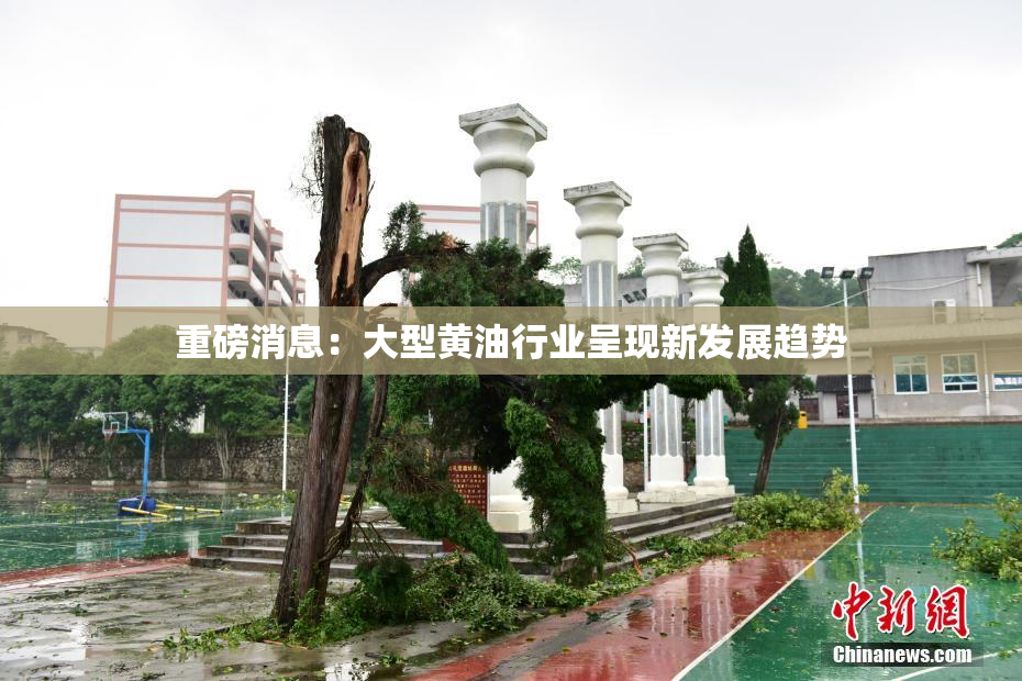 重磅消息：大型黄油行业呈现新发展趋势