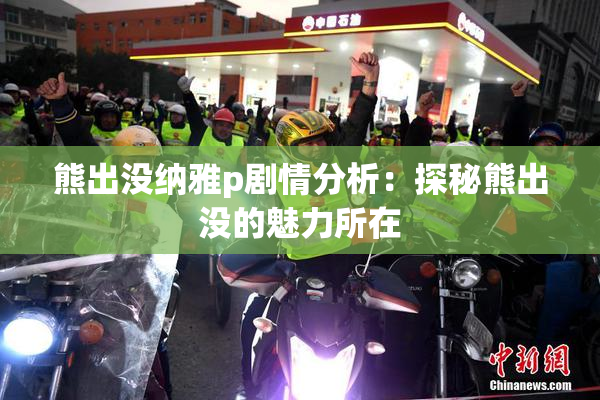 熊出没纳雅p剧情分析：探秘熊出没的魅力所在