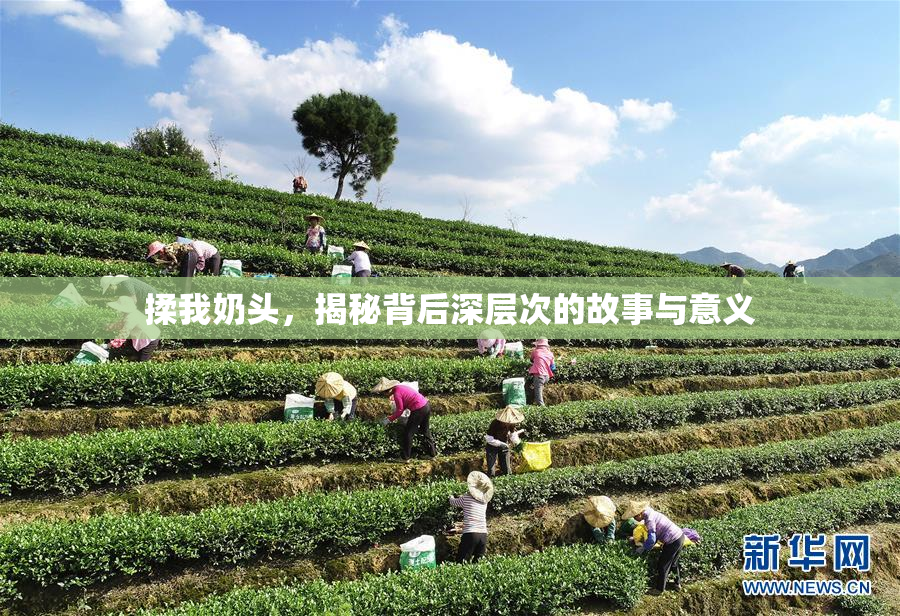 揉我奶头，揭秘背后深层次的故事与意义