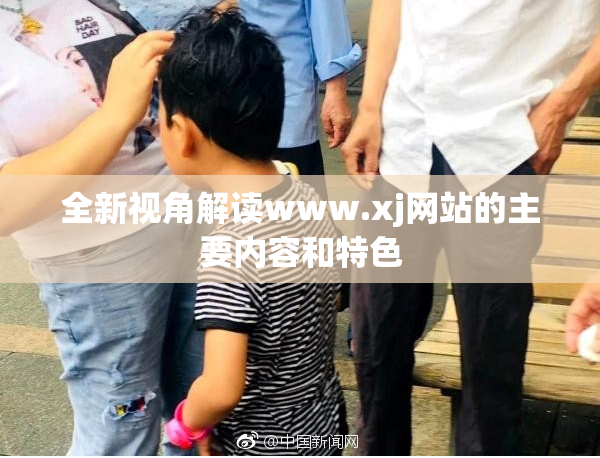 全新视角解读www.xj网站的主要内容和特色