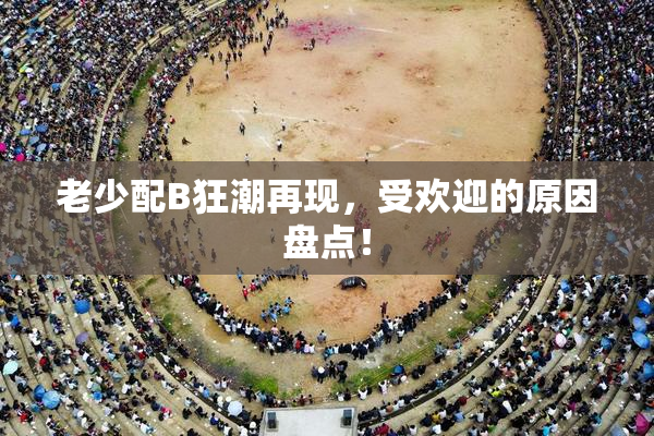 老少配B狂潮再现，受欢迎的原因盘点！