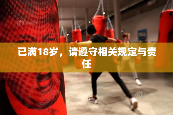 已满18岁，请遵守相关规定与责任