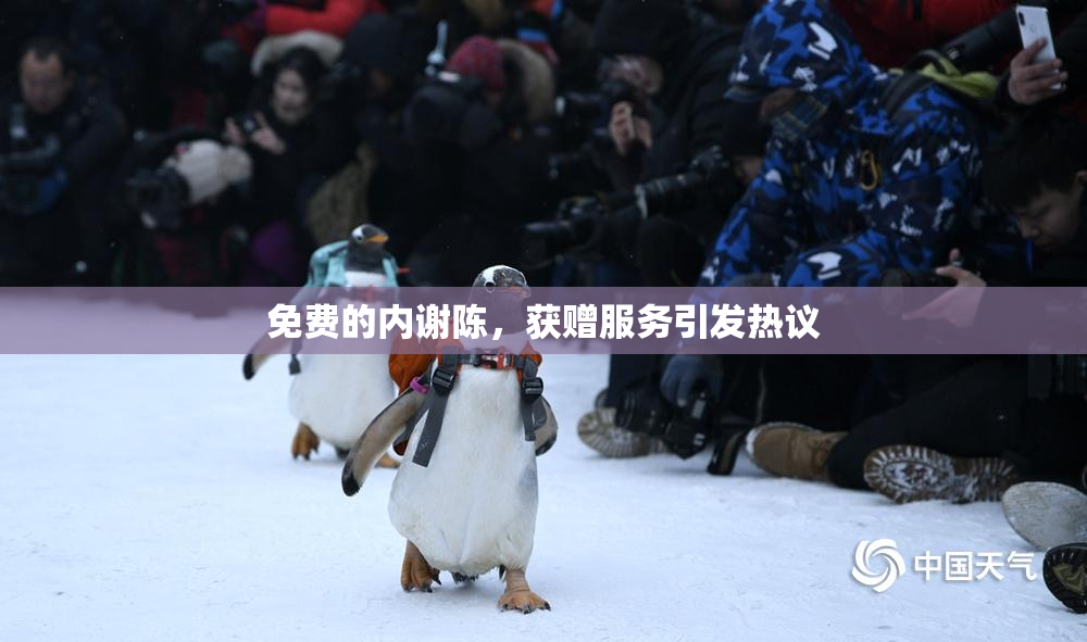 免费的内谢陈，获赠服务引发热议