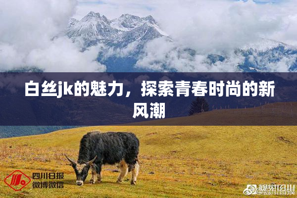 白丝jk的魅力，探索青春时尚的新风潮