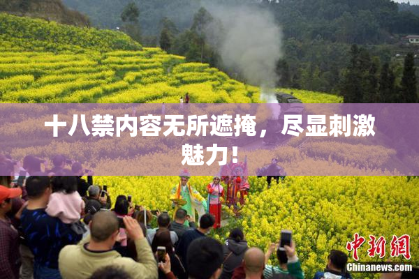 十八禁内容无所遮掩，尽显刺激魅力！