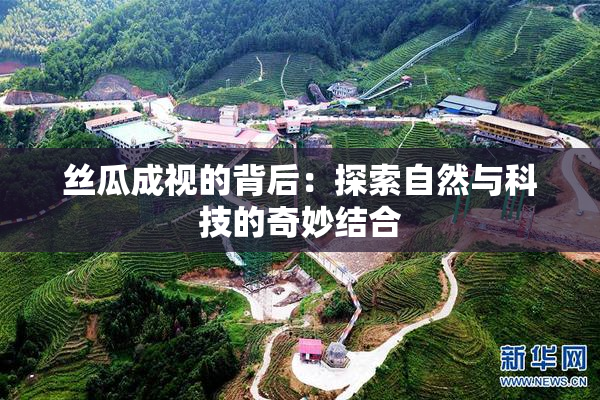 丝瓜成视的背后：探索自然与科技的奇妙结合