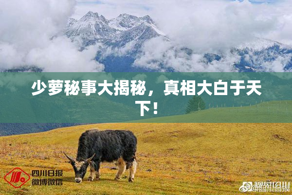 少萝秘事大揭秘，真相大白于天下！