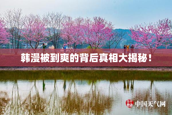 韩漫被到爽的背后真相大揭秘！