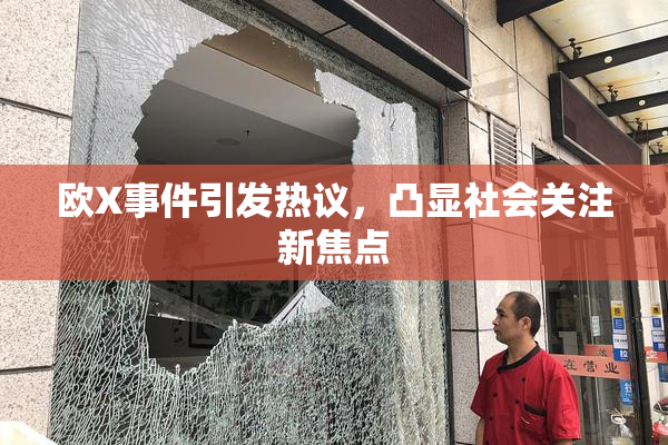 欧X事件引发热议，凸显社会关注新焦点