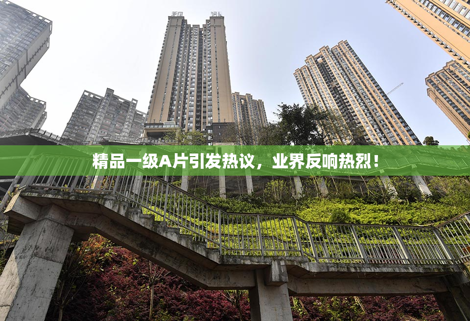 精品一级A片引发热议，业界反响热烈！