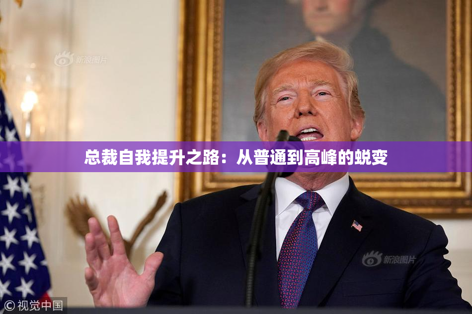 总裁自我提升之路：从普通到高峰的蜕变