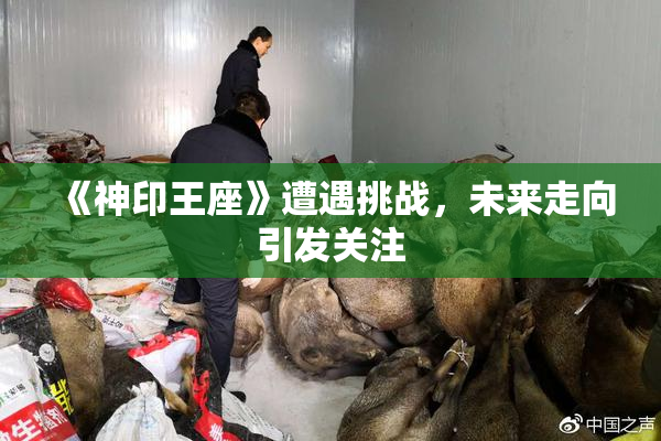 《神印王座》遭遇挑战，未来走向引发关注