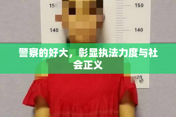 警察的好大，彰显执法力度与社会正义
