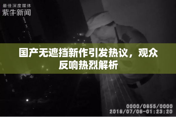 国产无遮挡新作引发热议，观众反响热烈解析