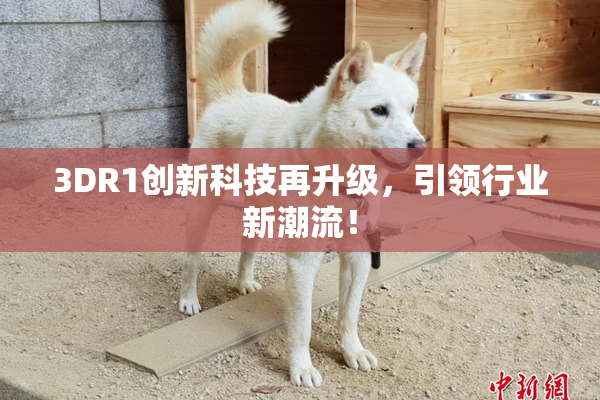 3DR1创新科技再升级，引领行业新潮流！