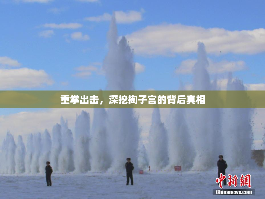 重拳出击，深挖掏子宫的背后真相