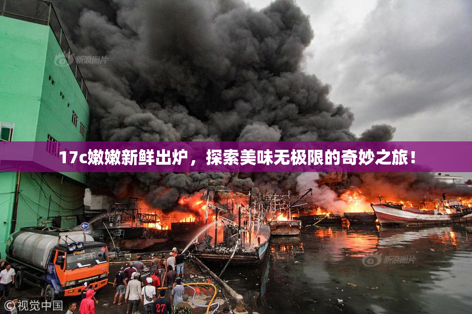 17c嫩嫩新鲜出炉，探索美味无极限的奇妙之旅！