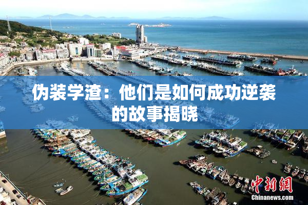 伪装学渣：他们是如何成功逆袭的故事揭晓