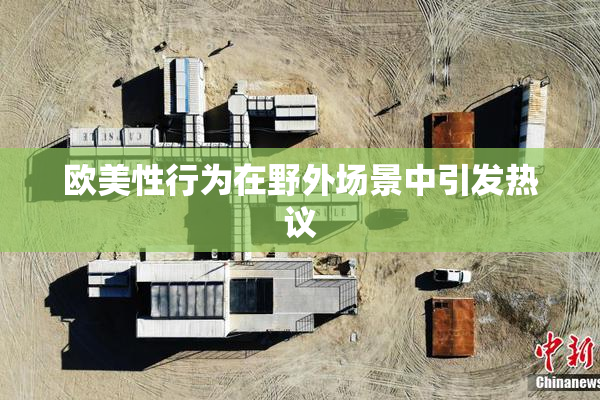欧美性行为在野外场景中引发热议