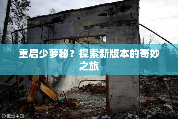 重启少萝秘？探索新版本的奇妙之旅