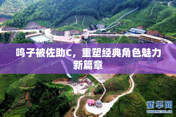 鸣子被佐助C，重塑经典角色魅力新篇章