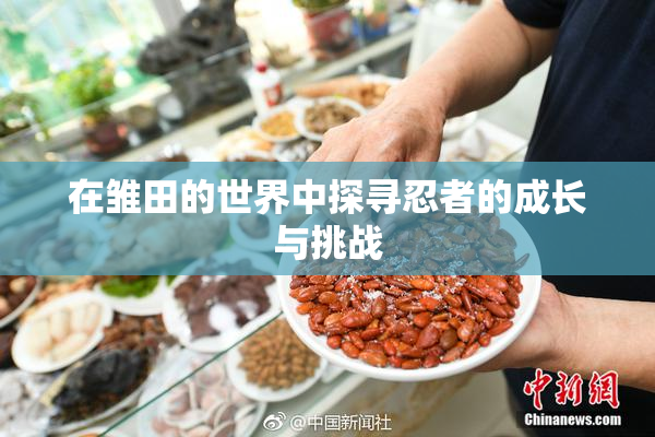 在雏田的世界中探寻忍者的成长与挑战